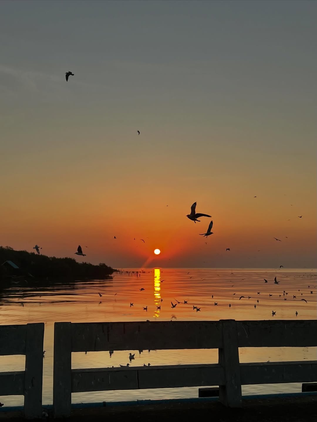 ก็อต - อิทธิพัทธ์ ฐานิตย์