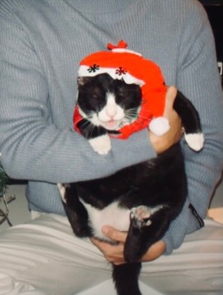 ก็อต - อิทธิพัทธ์ ฐานิตย์