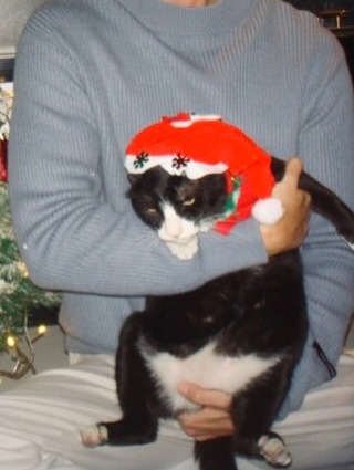 ก็อต - อิทธิพัทธ์ ฐานิตย์