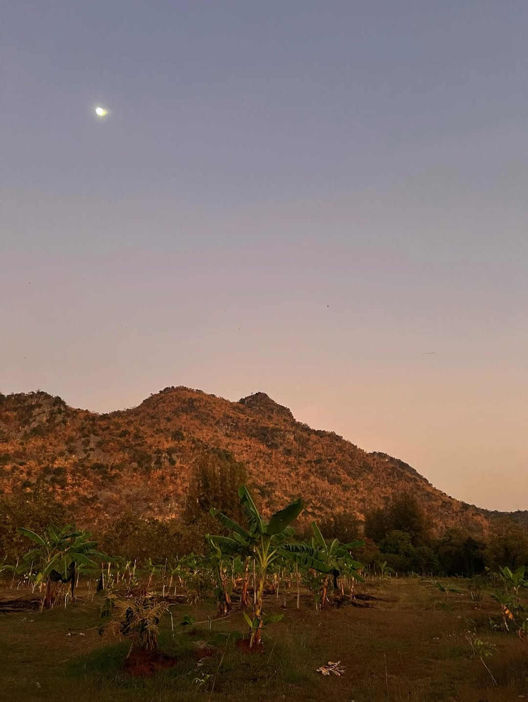 ก็อต - อิทธิพัทธ์ ฐานิตย์