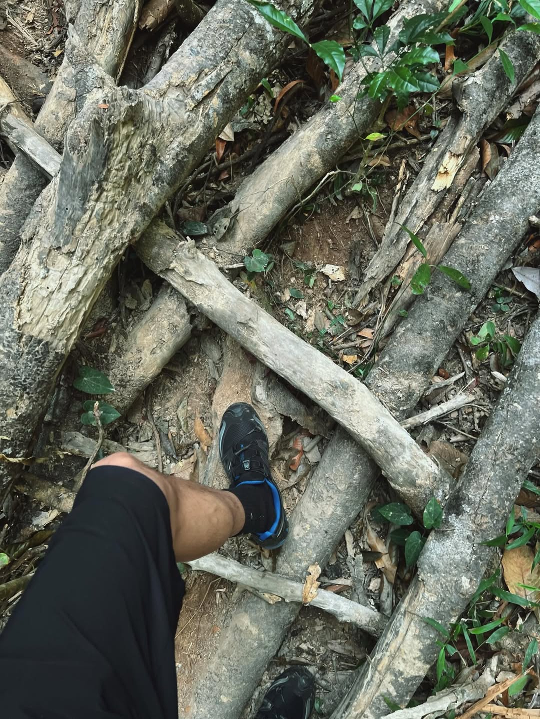 ก็อต - อิทธิพัทธ์ ฐานิตย์