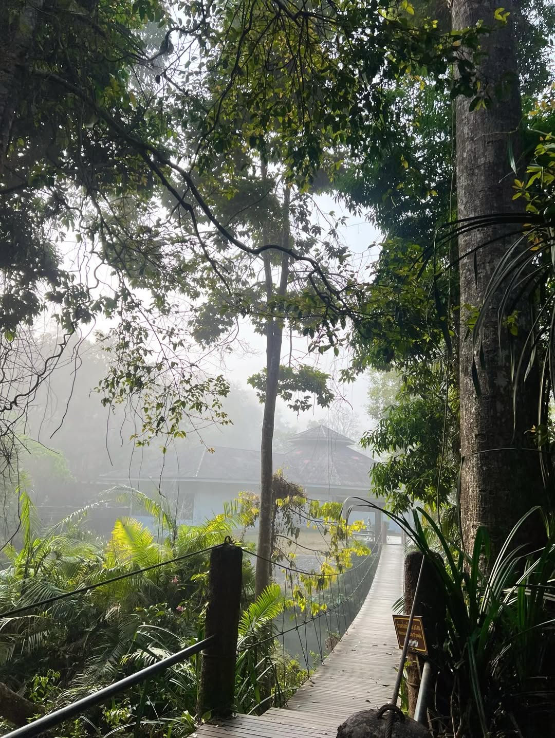 ก็อต - อิทธิพัทธ์ ฐานิตย์