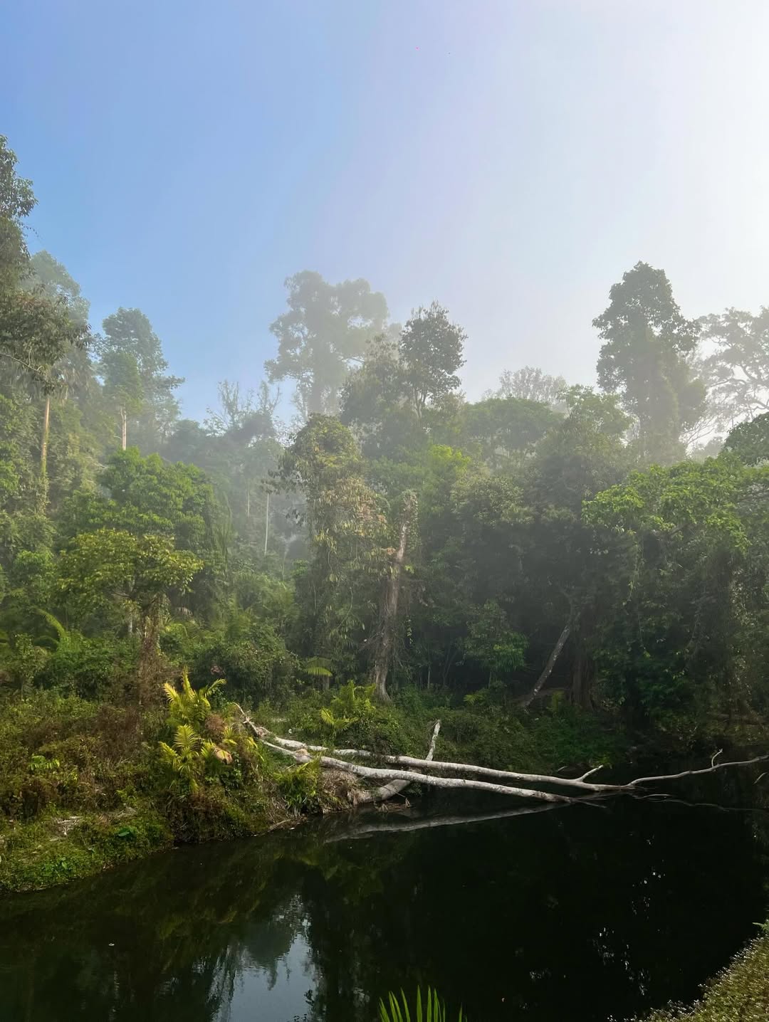 ก็อต - อิทธิพัทธ์ ฐานิตย์