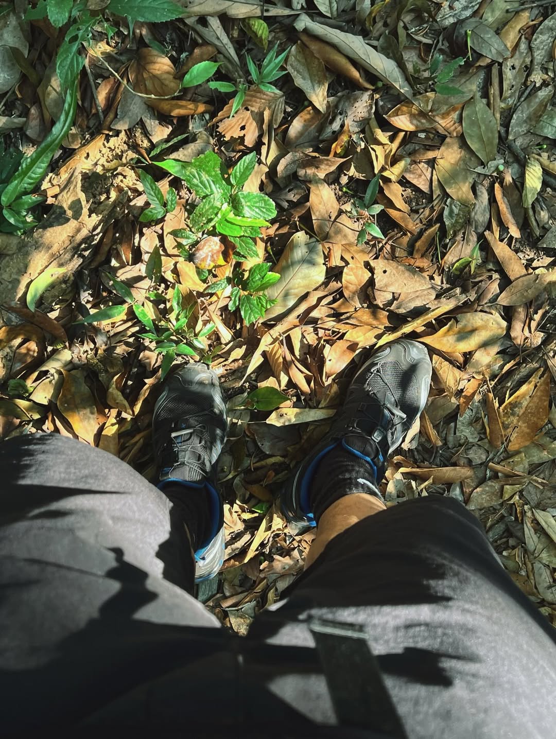 ก็อต - อิทธิพัทธ์ ฐานิตย์