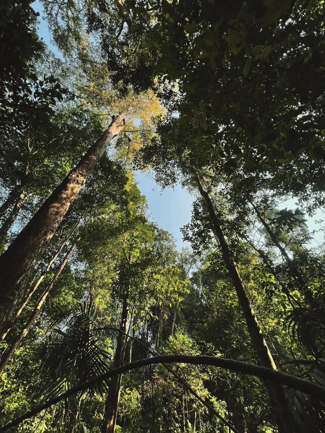 ก็อต - อิทธิพัทธ์ ฐานิตย์