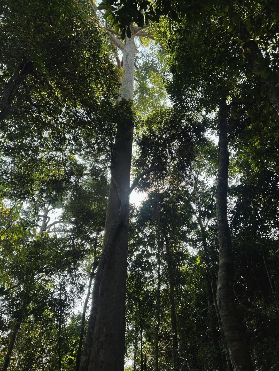 ก็อต - อิทธิพัทธ์ ฐานิตย์