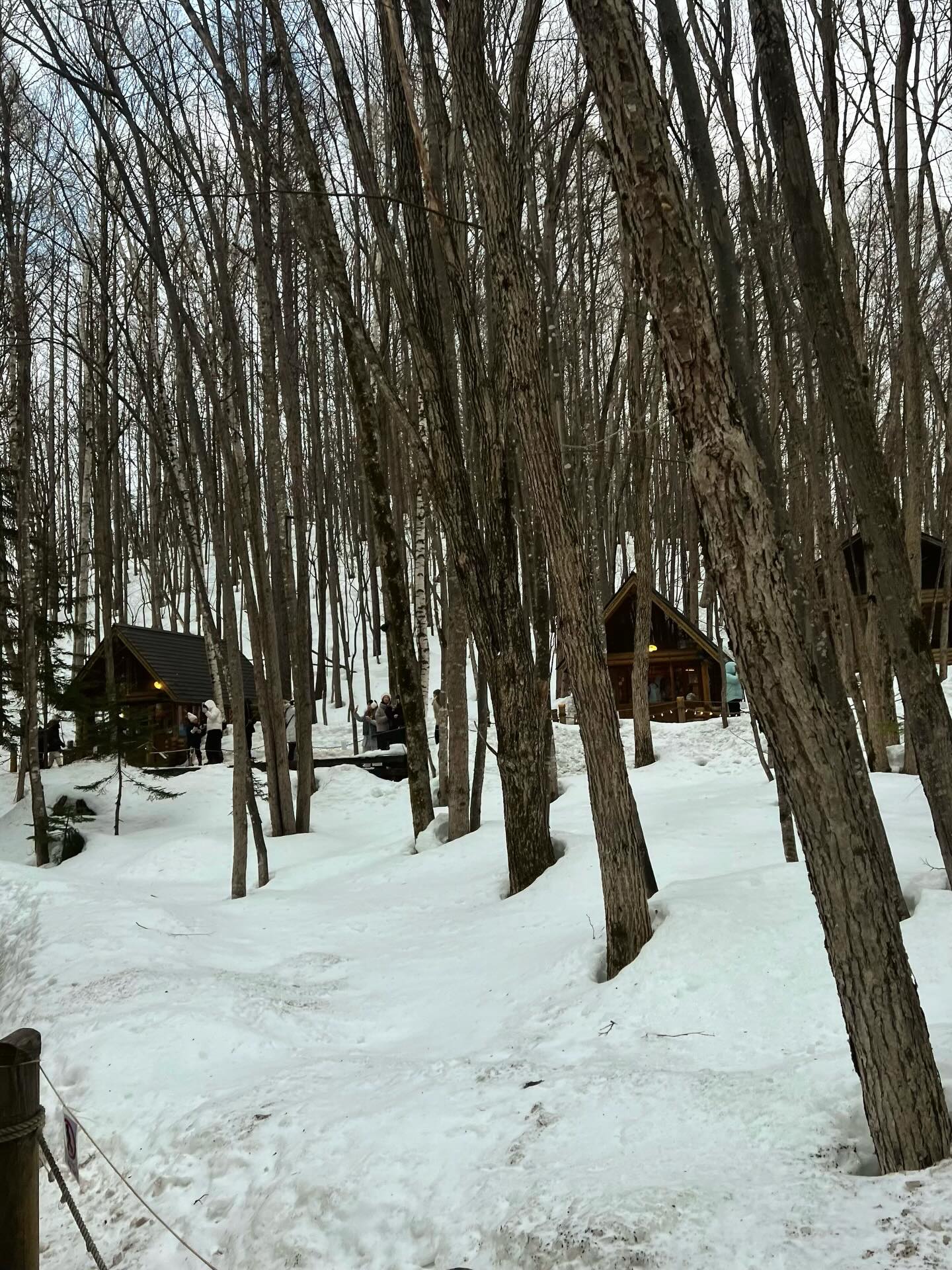 ก็อต - อิทธิพัทธ์ ฐานิตย์