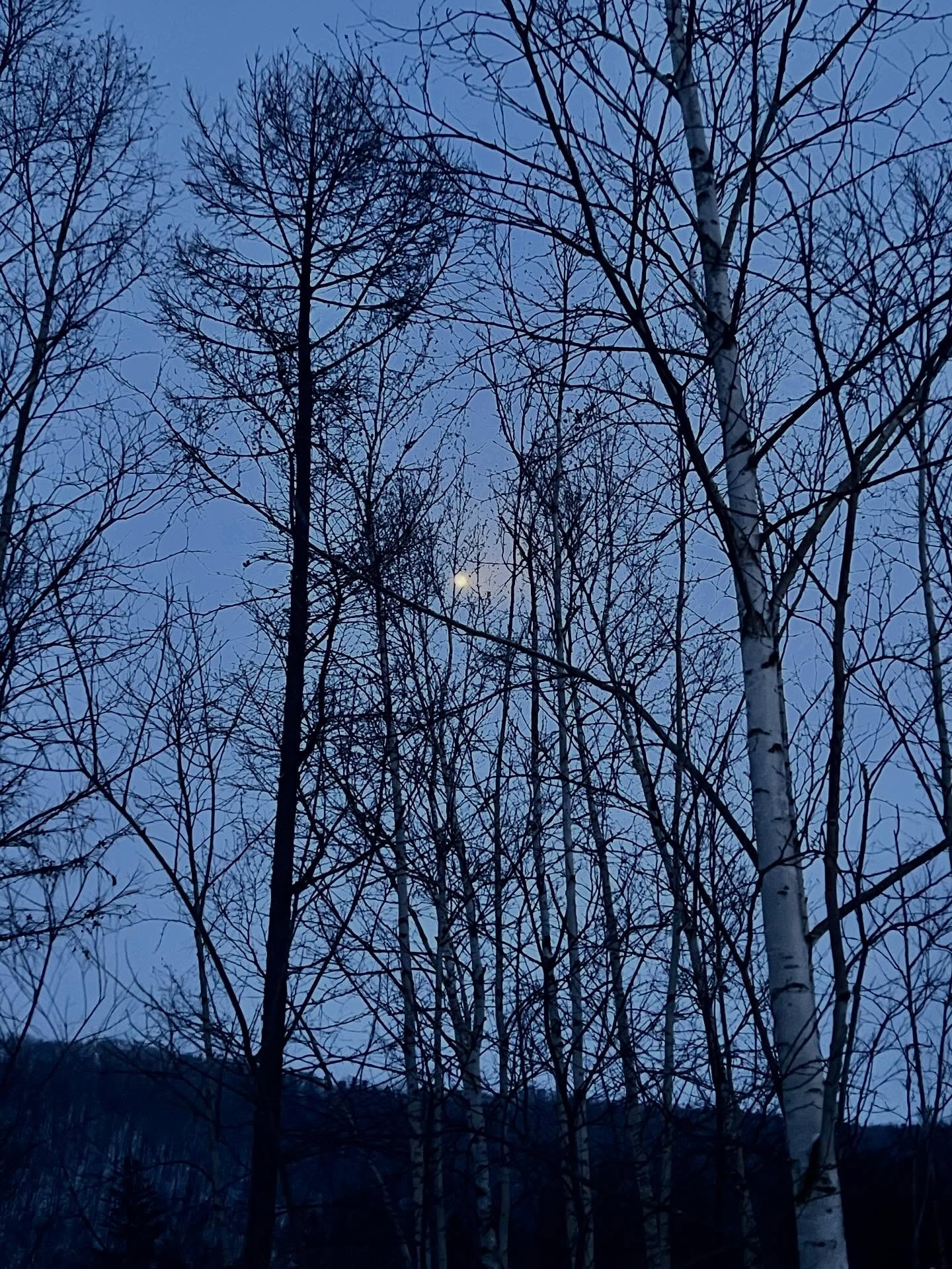 ก็อต - อิทธิพัทธ์ ฐานิตย์