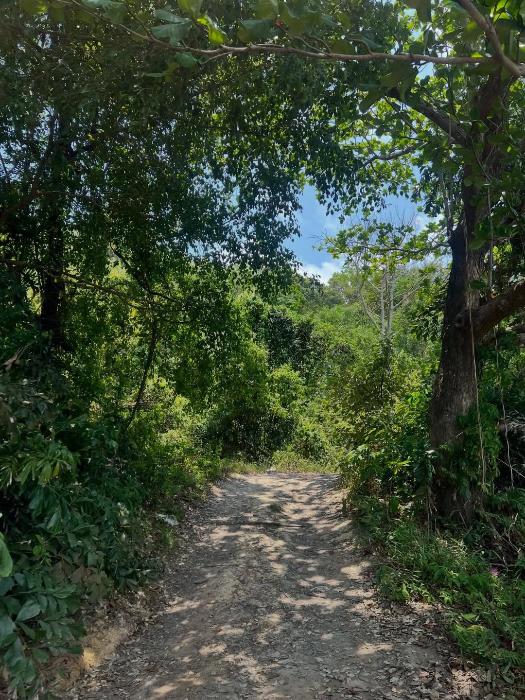 ก็อต - อิทธิพัทธ์ ฐานิตย์