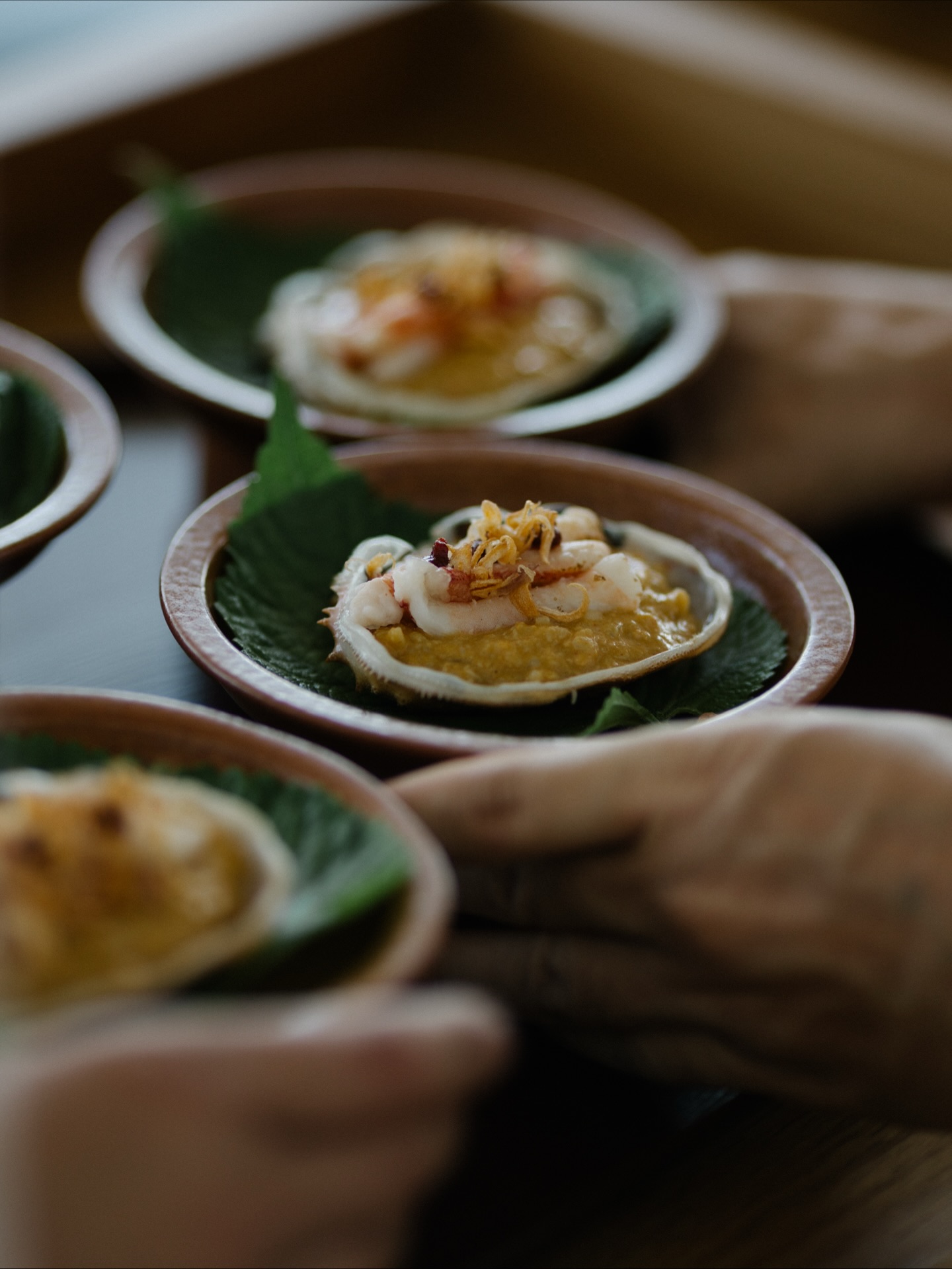 โอซา แวง