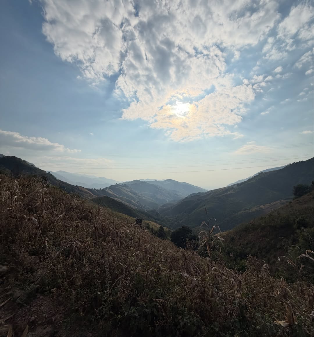 โอซา แวง