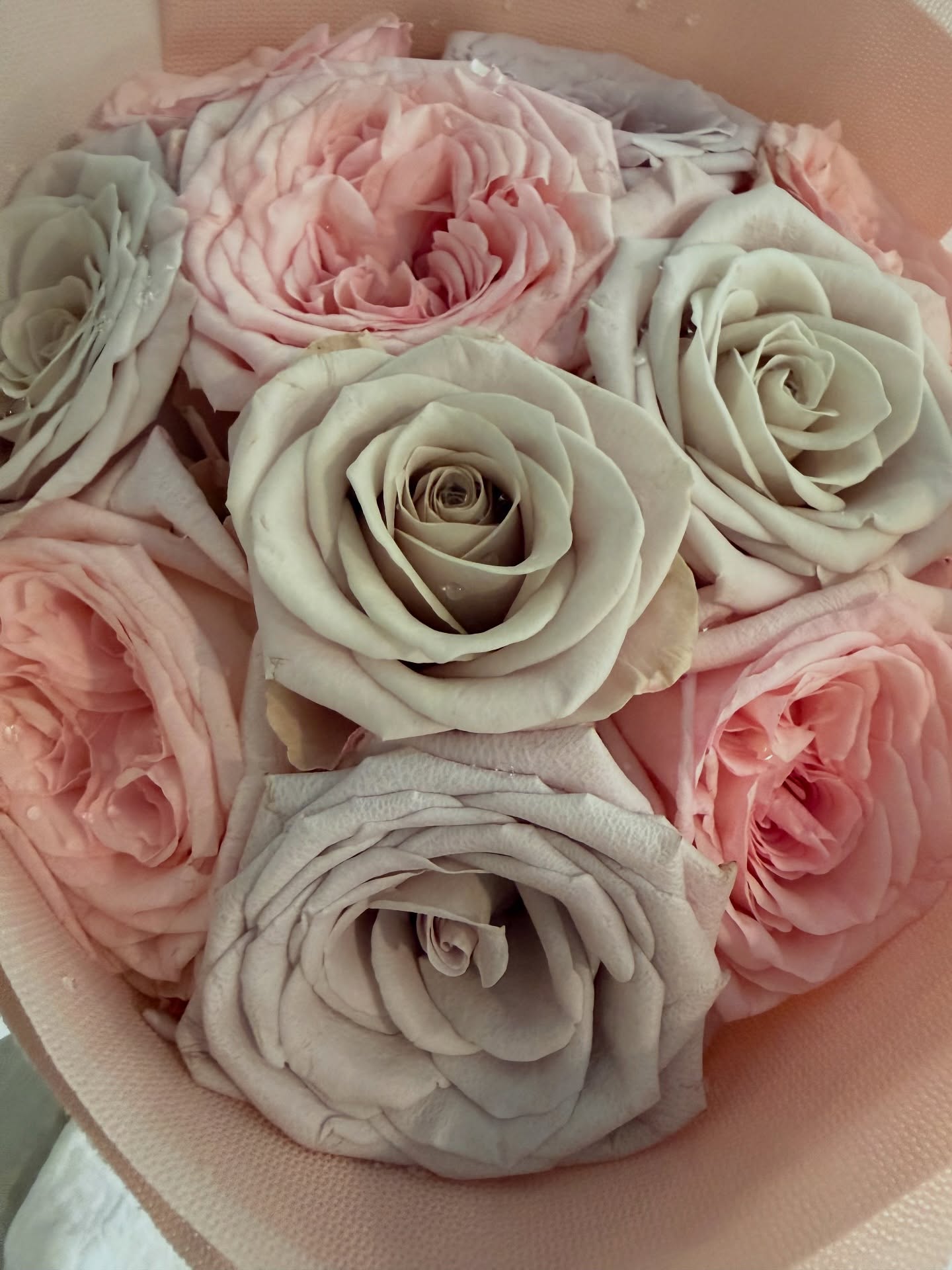 โอซา แวง