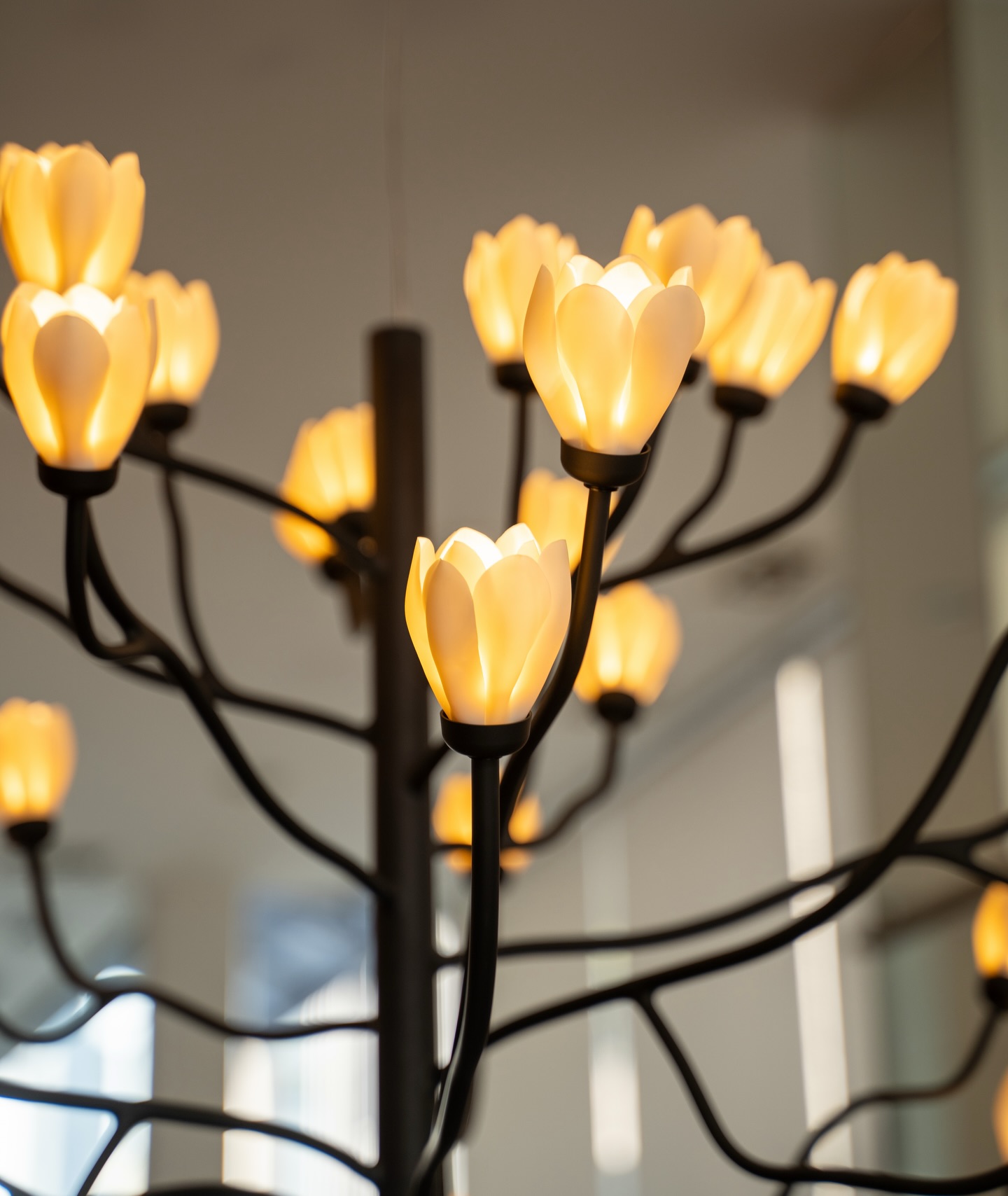 โอซา แวง