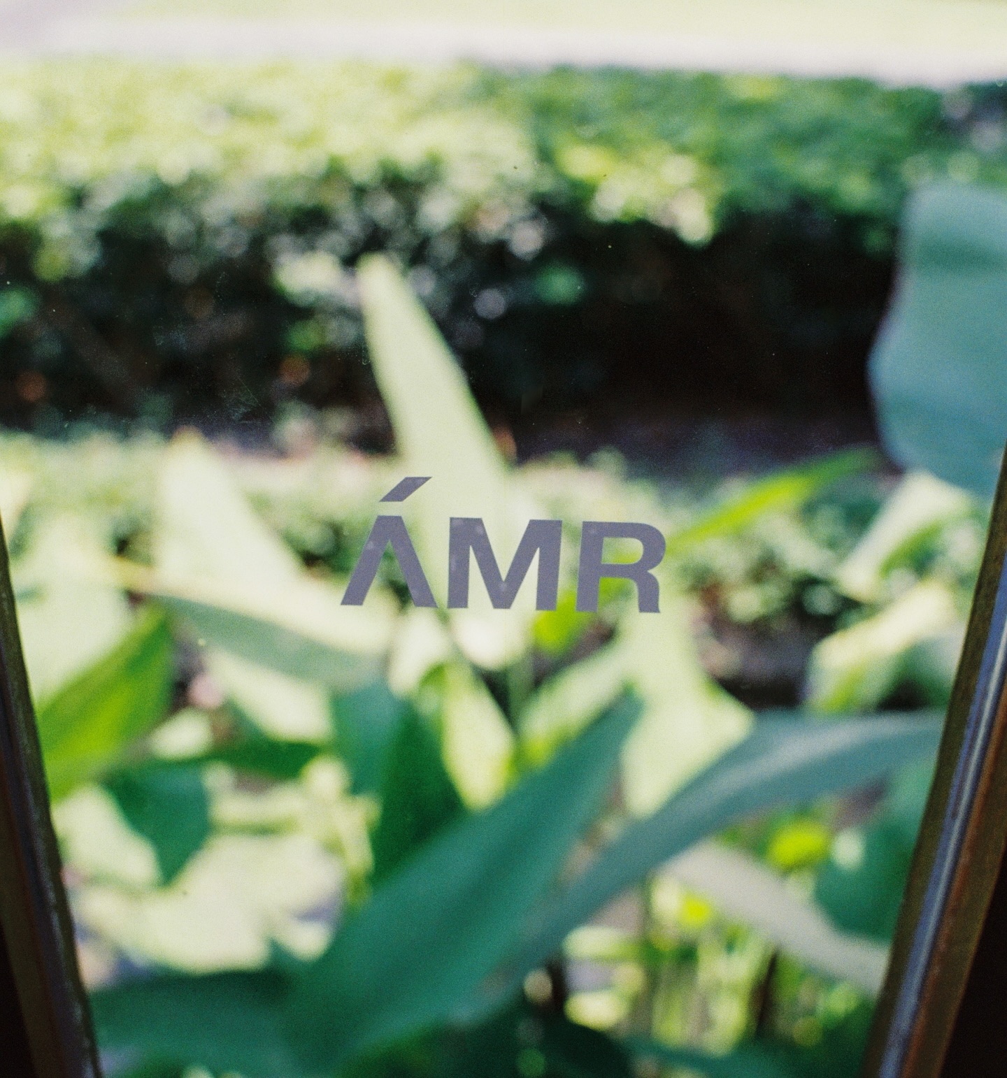 โอซา แวง