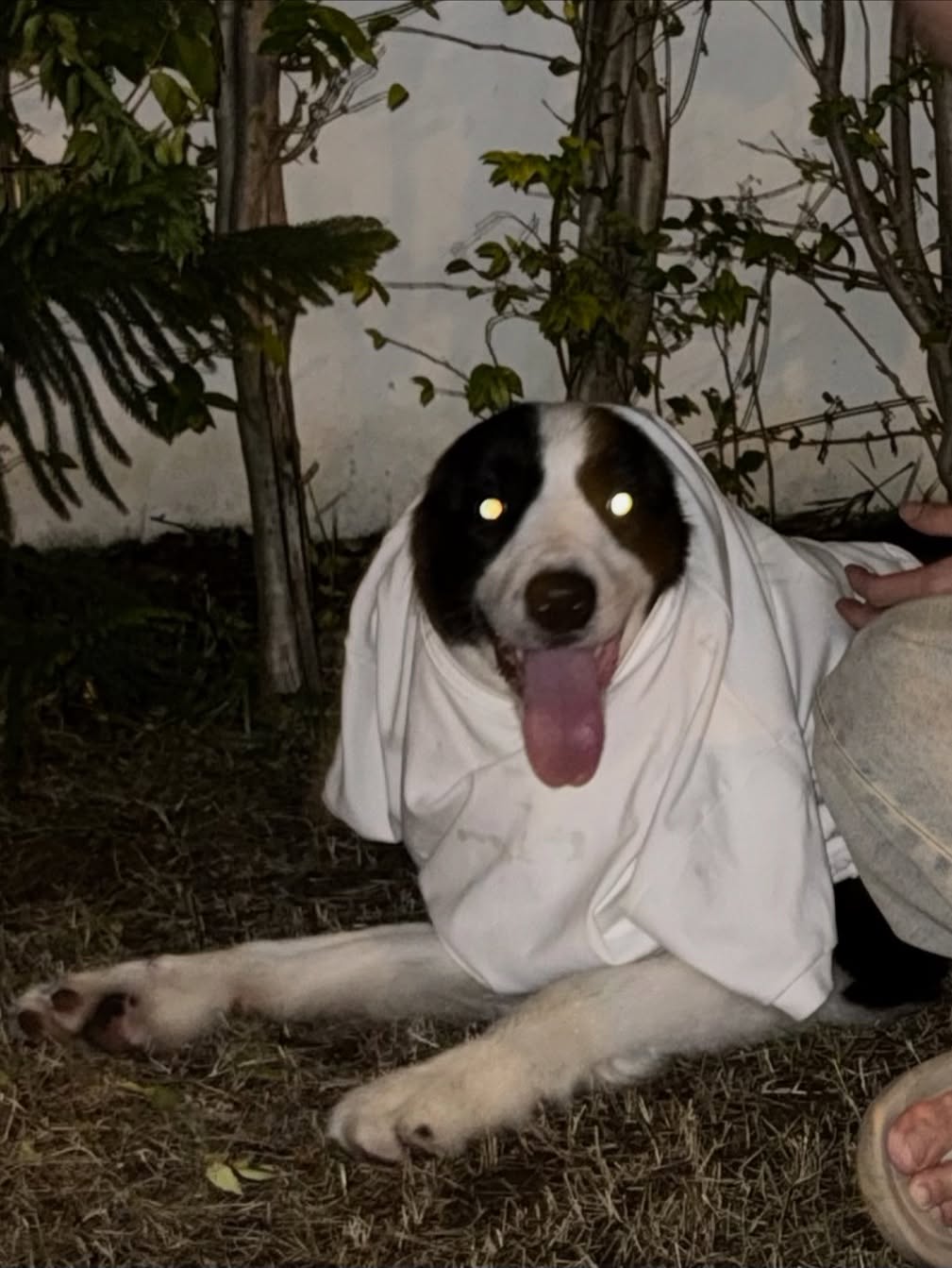 วอร์ - วนรัตน์ รัศมีรัตน์