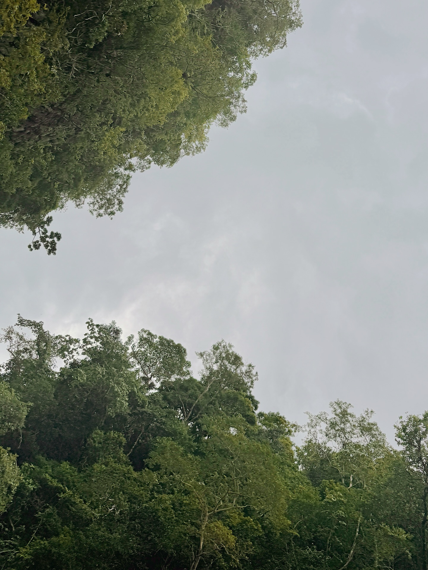 วอร์ - วนรัตน์ รัศมีรัตน์