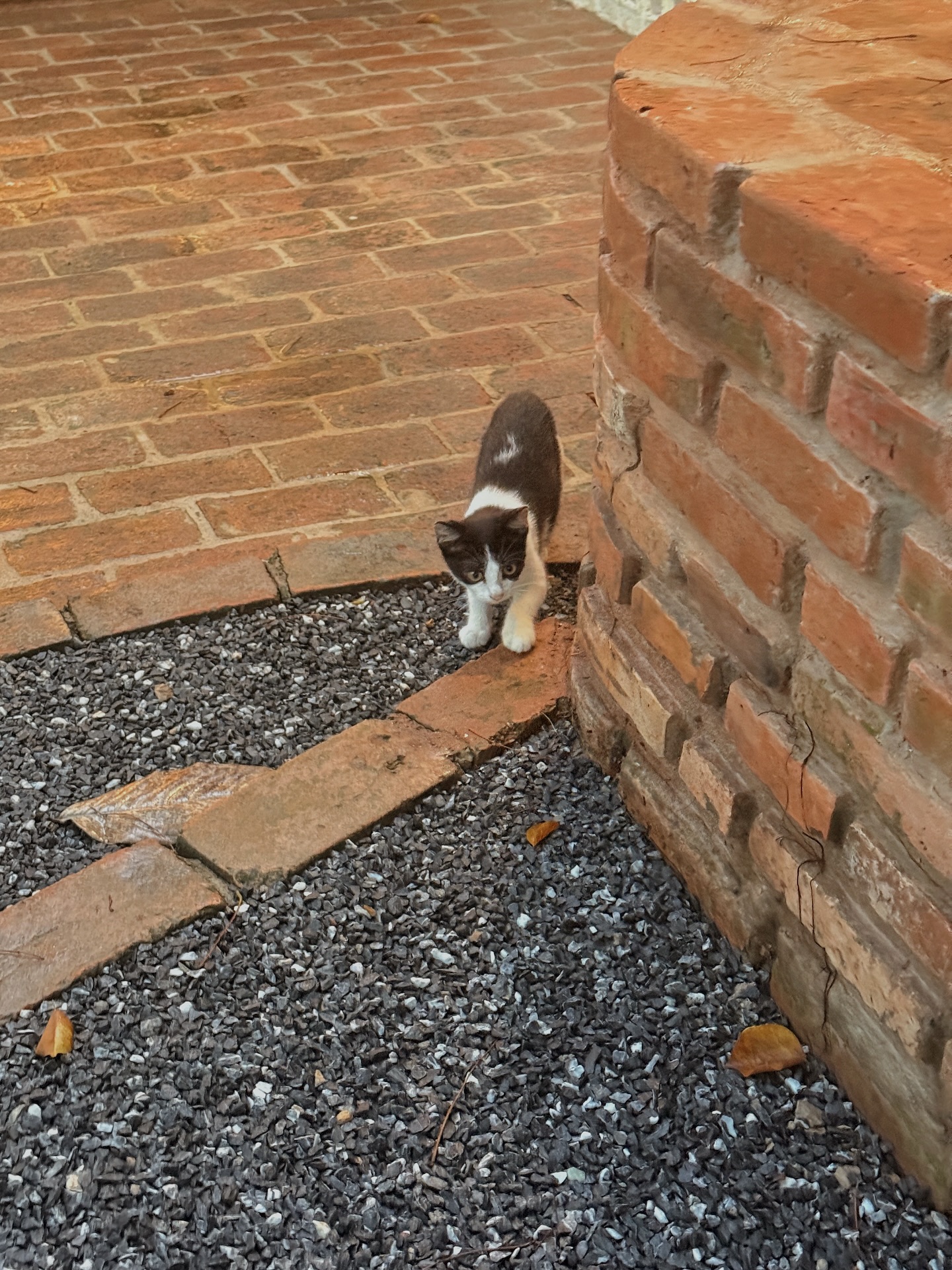 วอร์ - วนรัตน์ รัศมีรัตน์