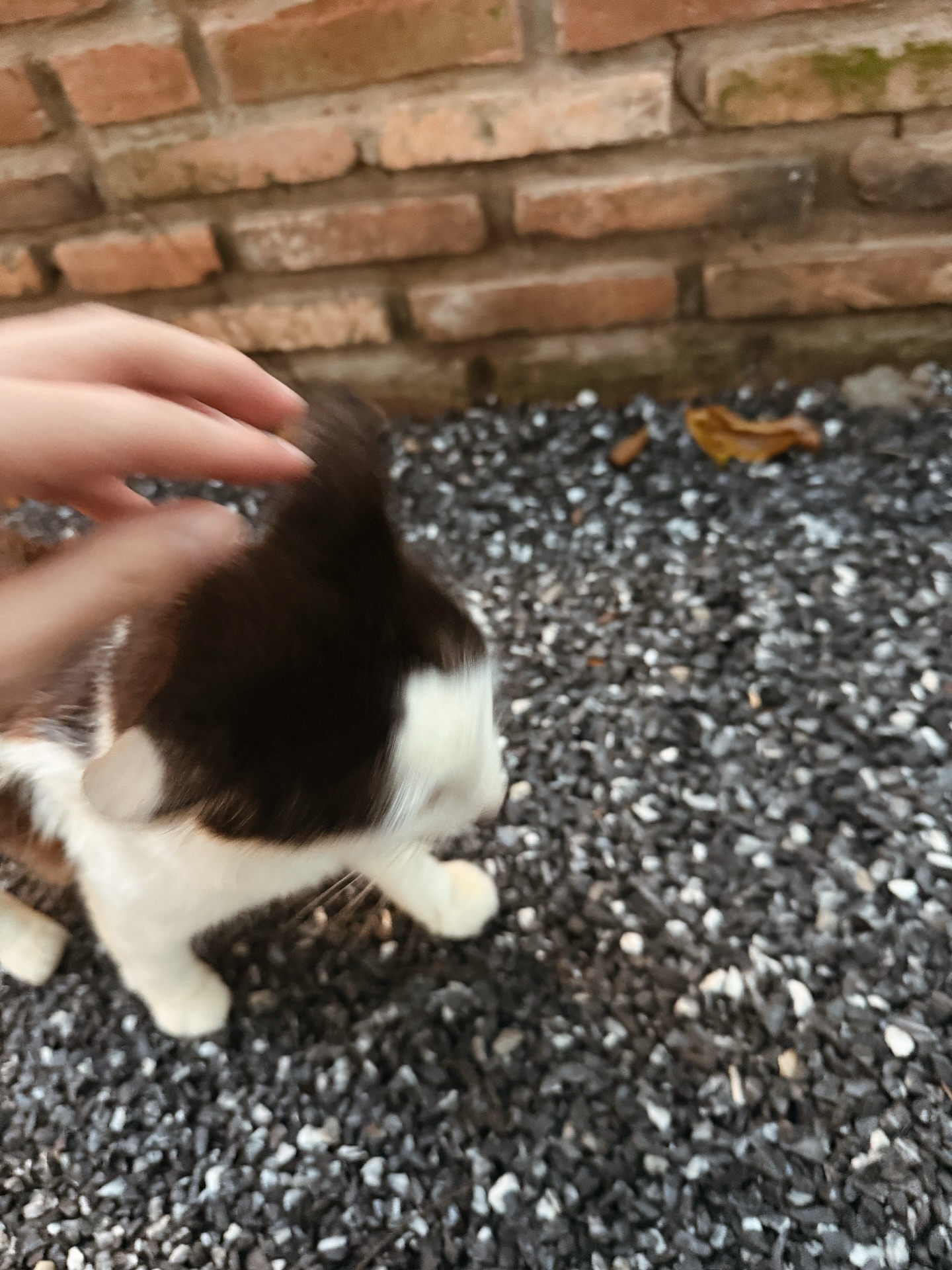 วอร์ - วนรัตน์ รัศมีรัตน์