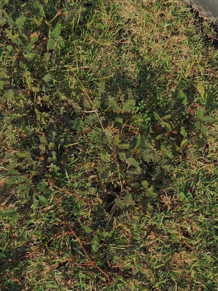 วอร์ - วนรัตน์ รัศมีรัตน์