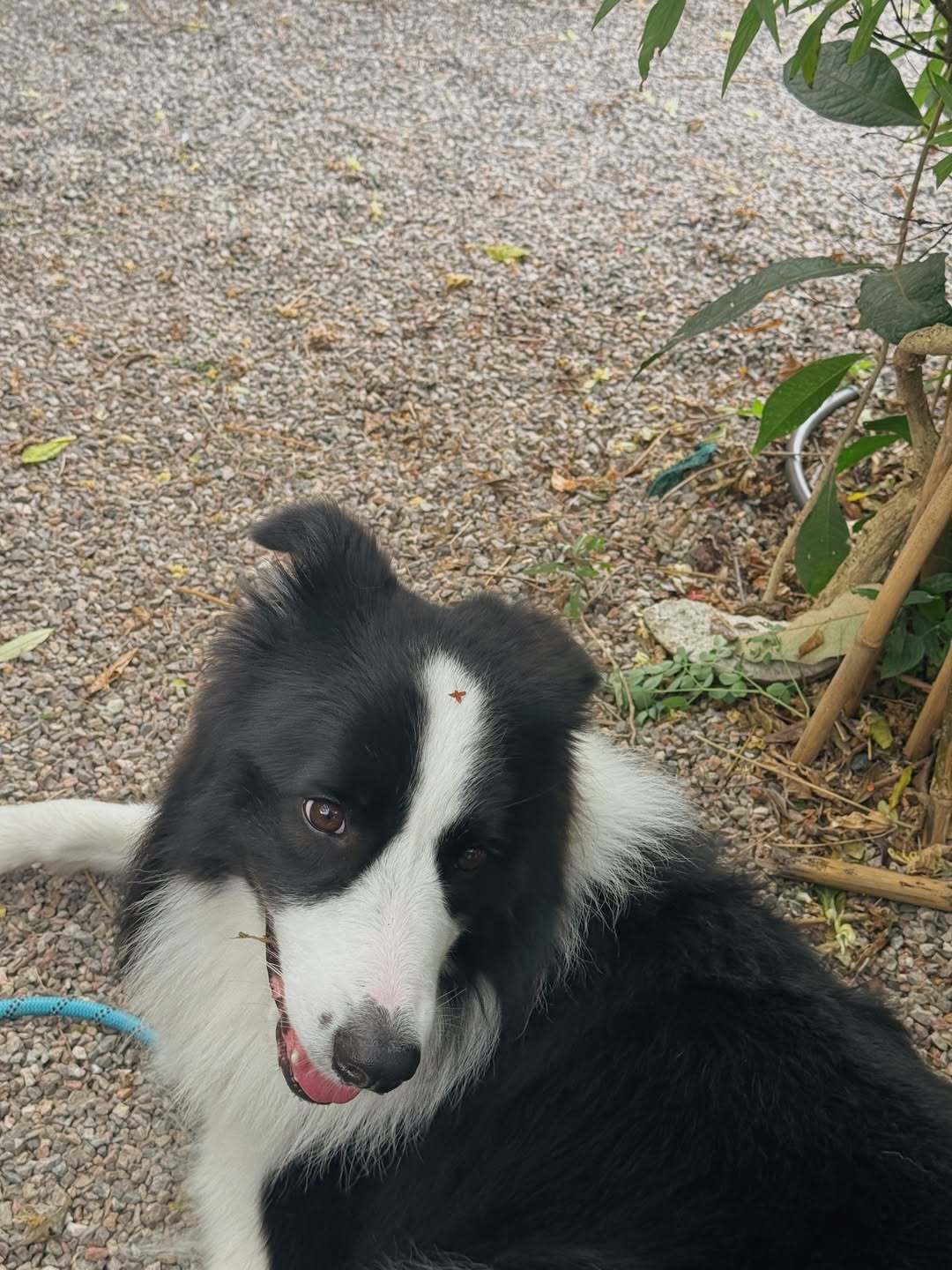 วอร์ - วนรัตน์ รัศมีรัตน์