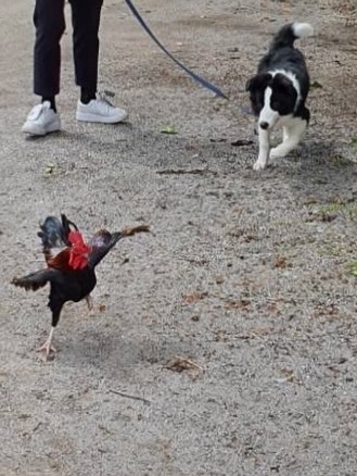 วอร์ - วนรัตน์ รัศมีรัตน์