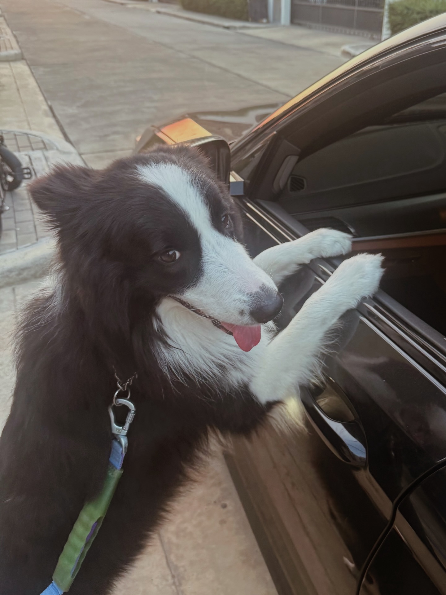 วอร์ - วนรัตน์ รัศมีรัตน์