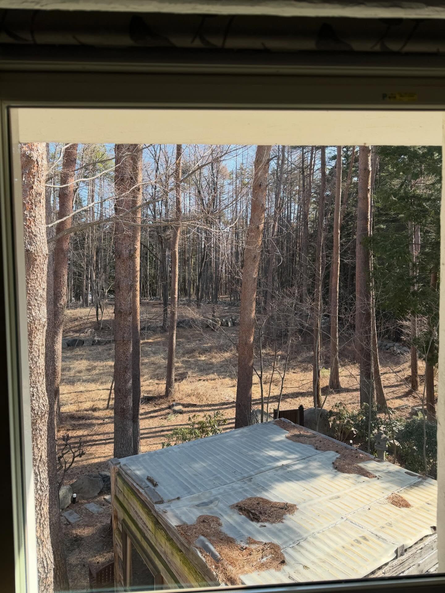 ยิม - ปริญญากรณ์ ขันสวะ