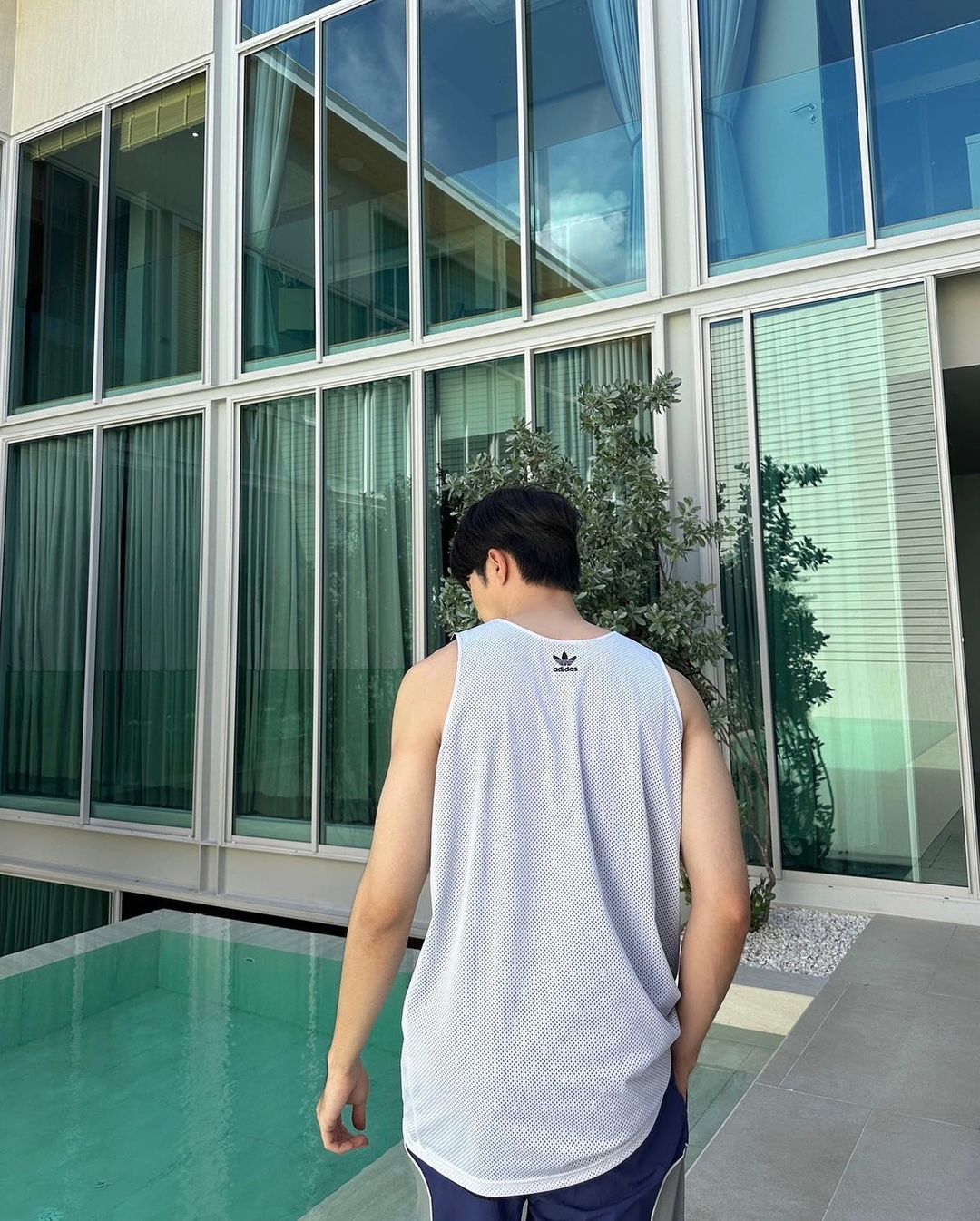 ซี - พฤกษ์ พานิช