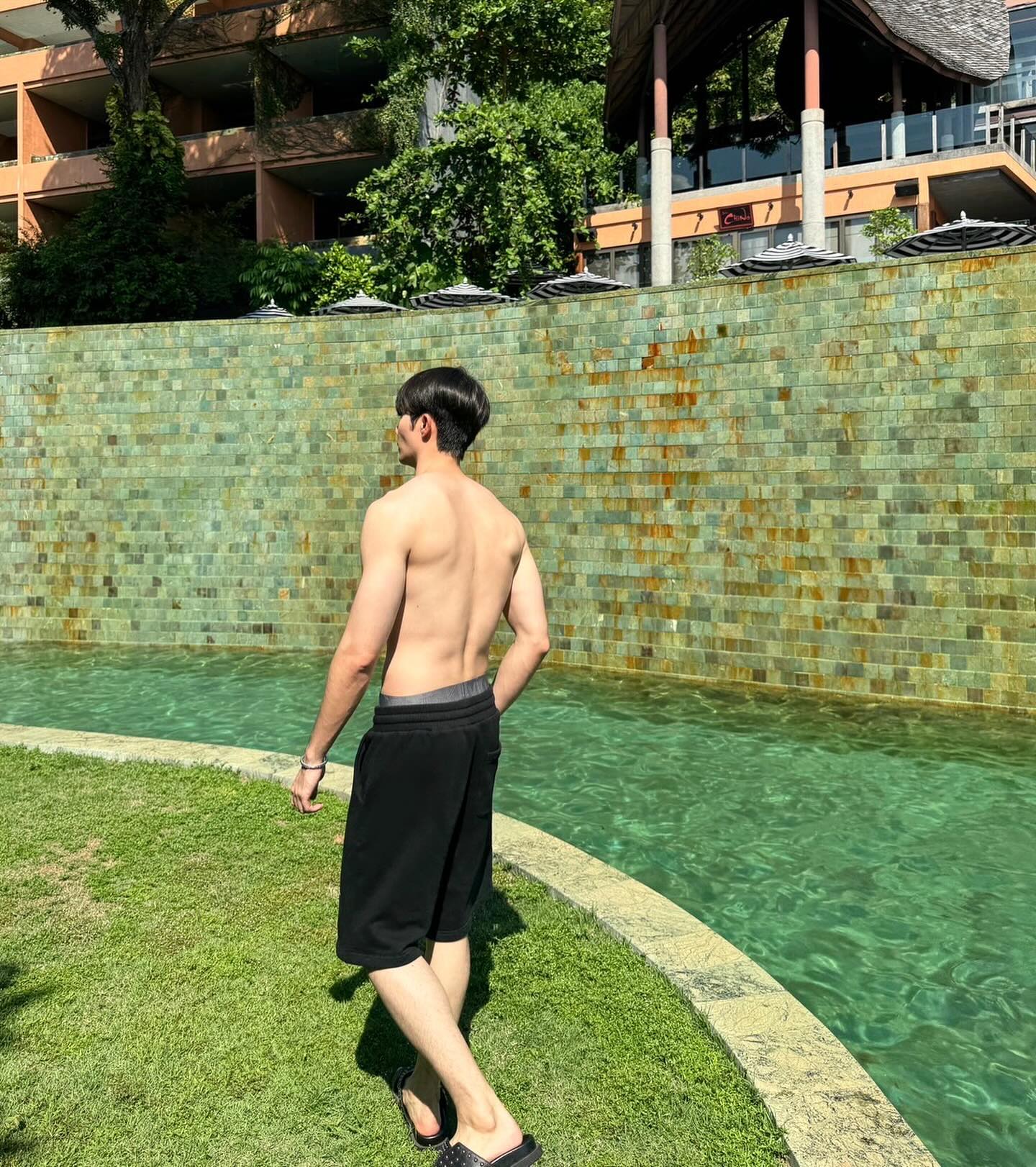 ซี - พฤกษ์ พานิช