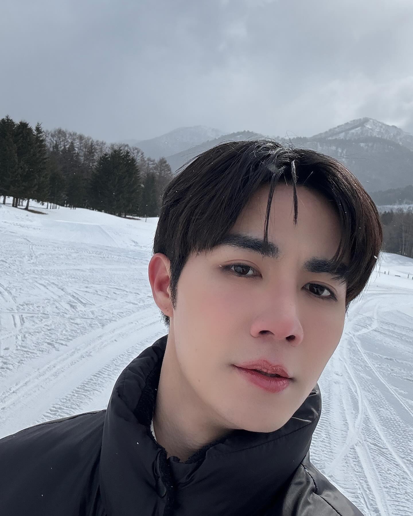ซี - พฤกษ์ พานิช