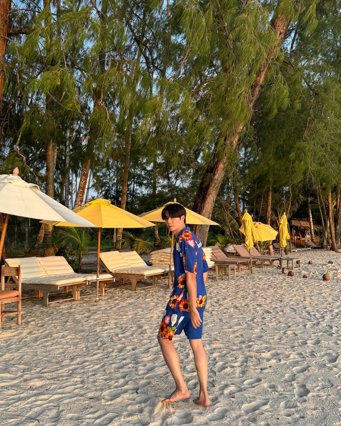 ซี - พฤกษ์ พานิช