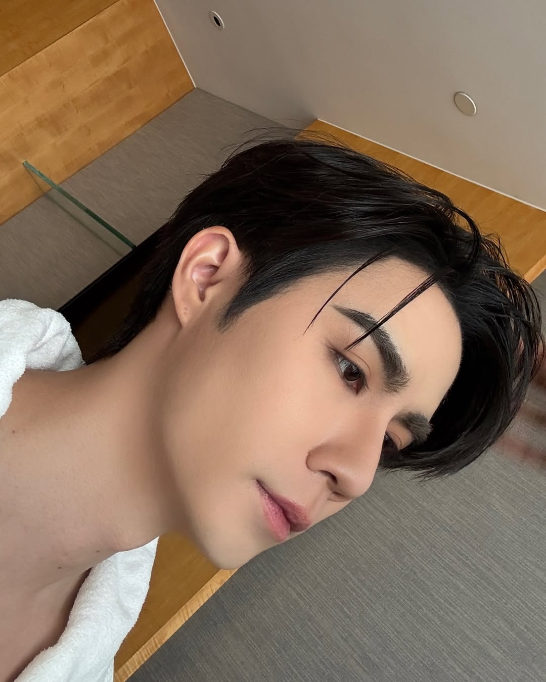ซี - พฤกษ์ พานิช
