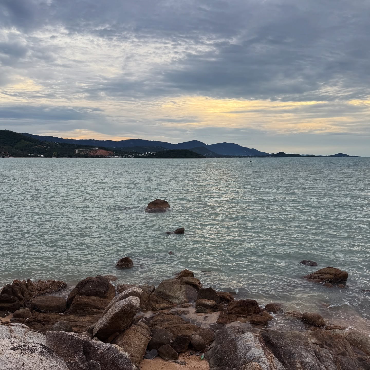 ซี - พฤกษ์ พานิช