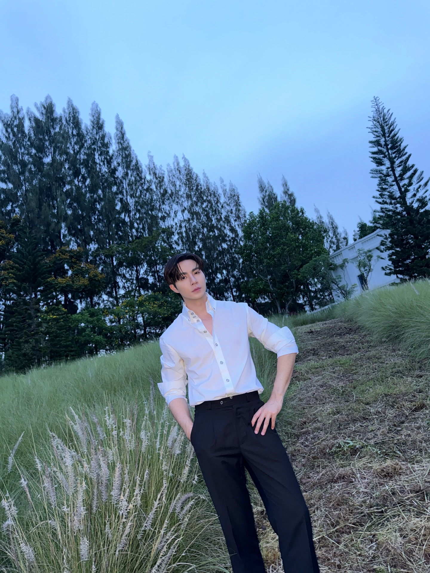 ซี - พฤกษ์ พานิช