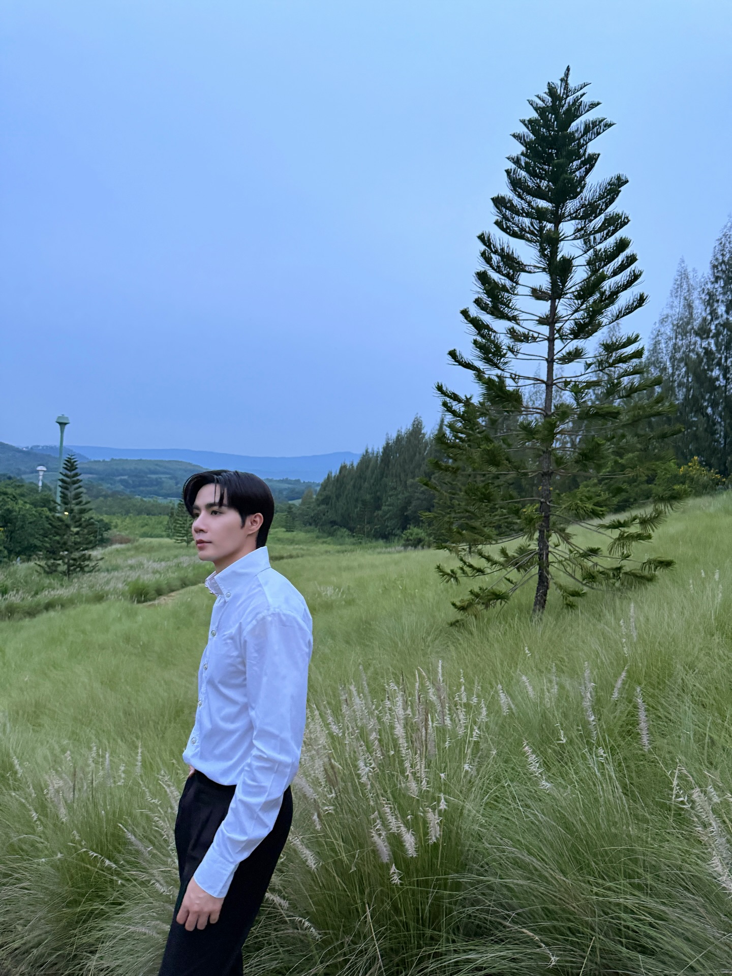 ซี - พฤกษ์ พานิช