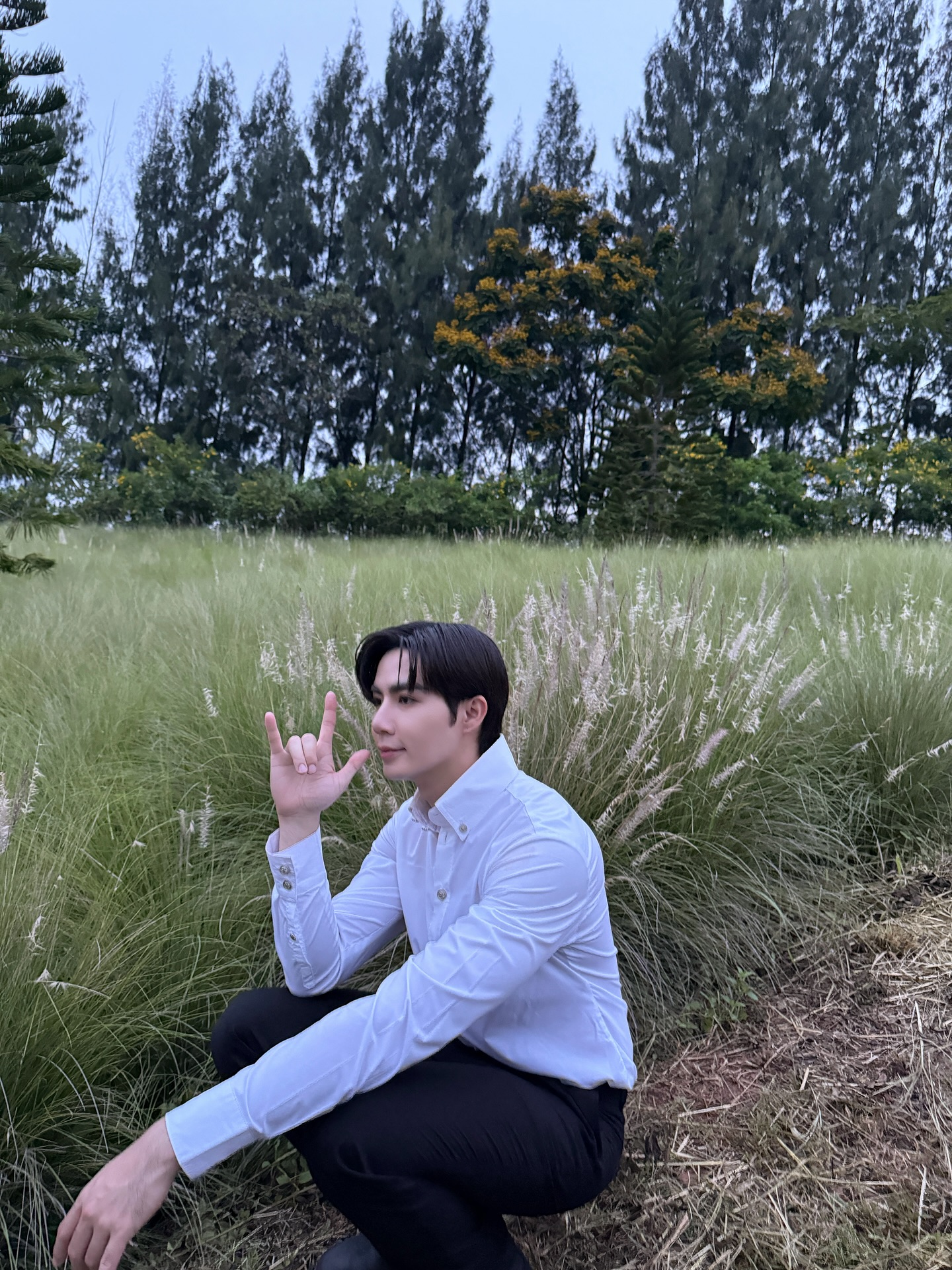 ซี - พฤกษ์ พานิช