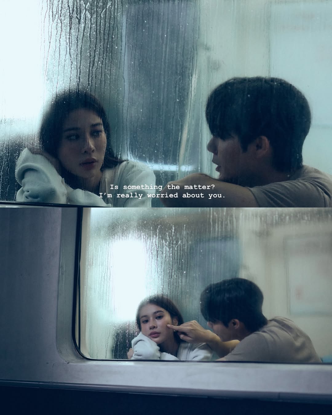 ซี - พฤกษ์ พานิช