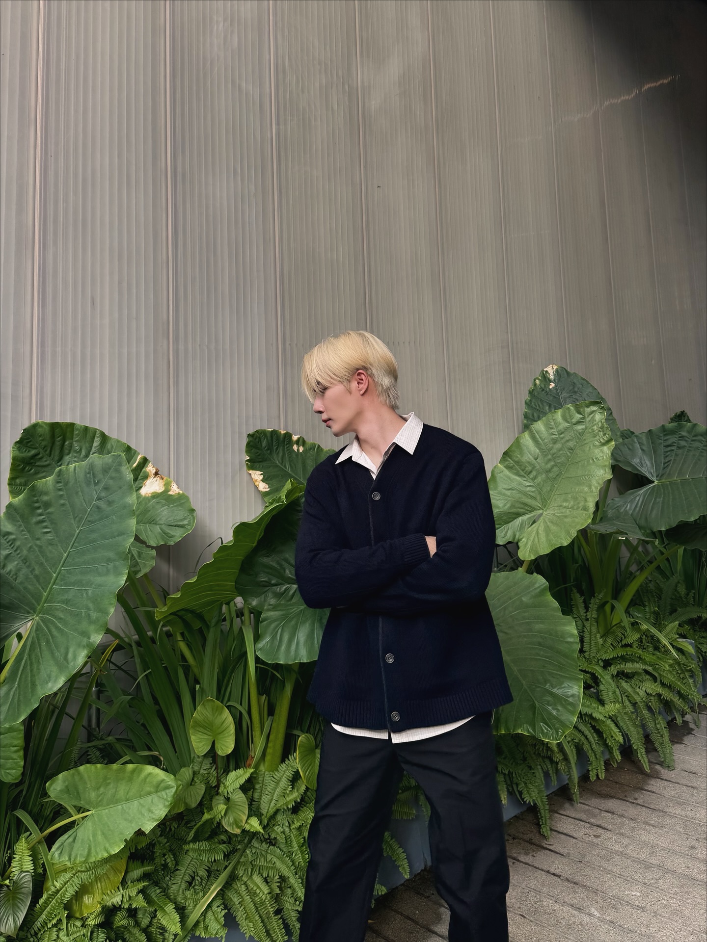 ซี - พฤกษ์ พานิช