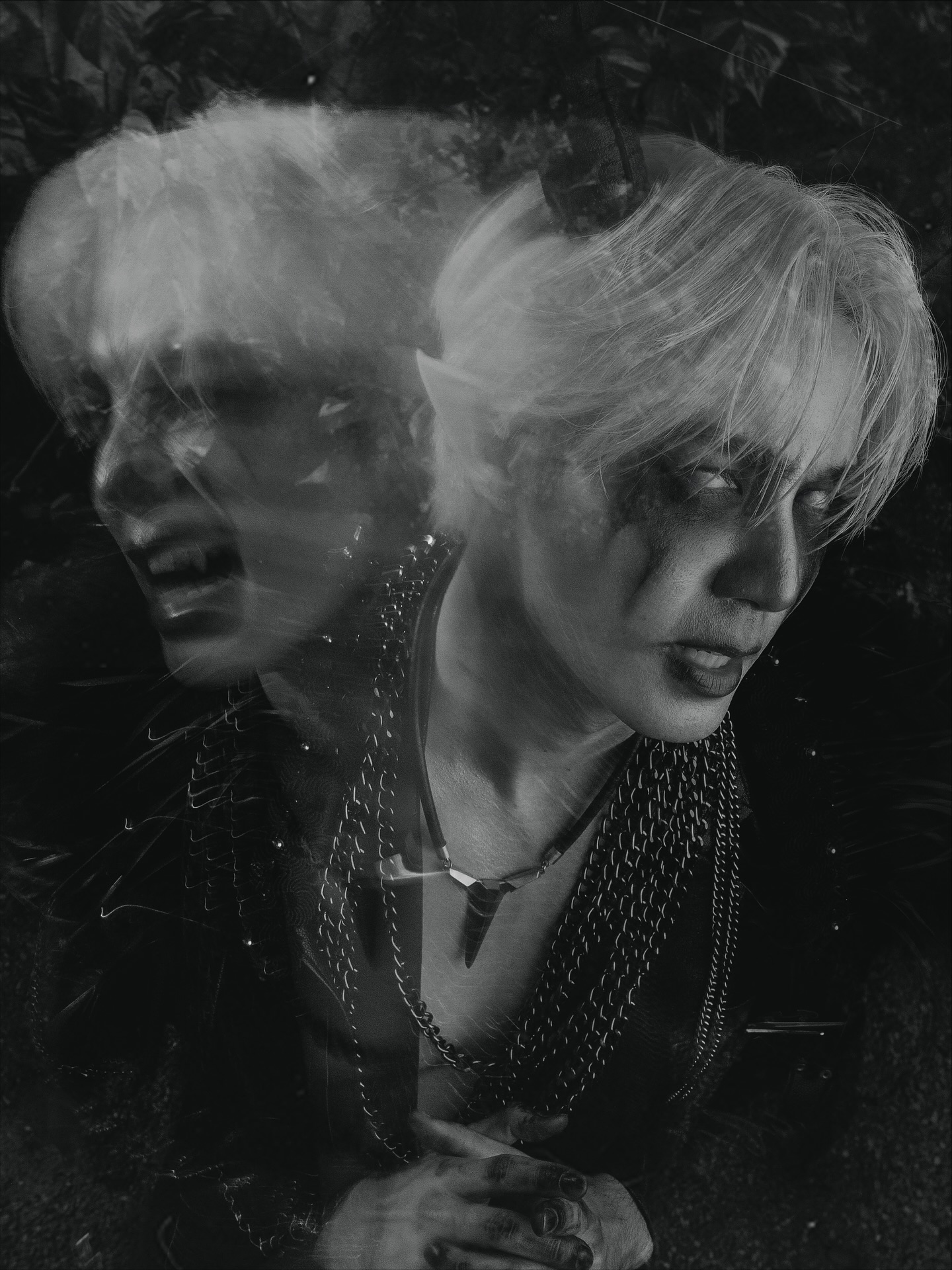 ซี - พฤกษ์ พานิช