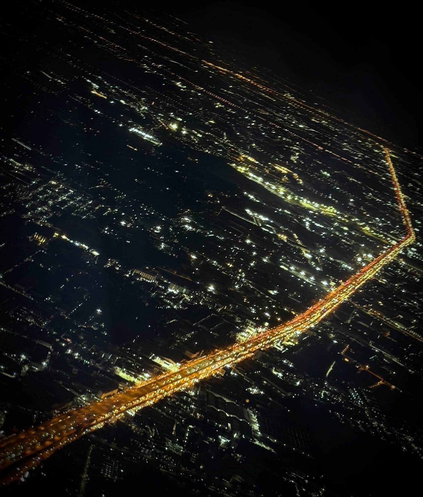 ซี - พฤกษ์ พานิช