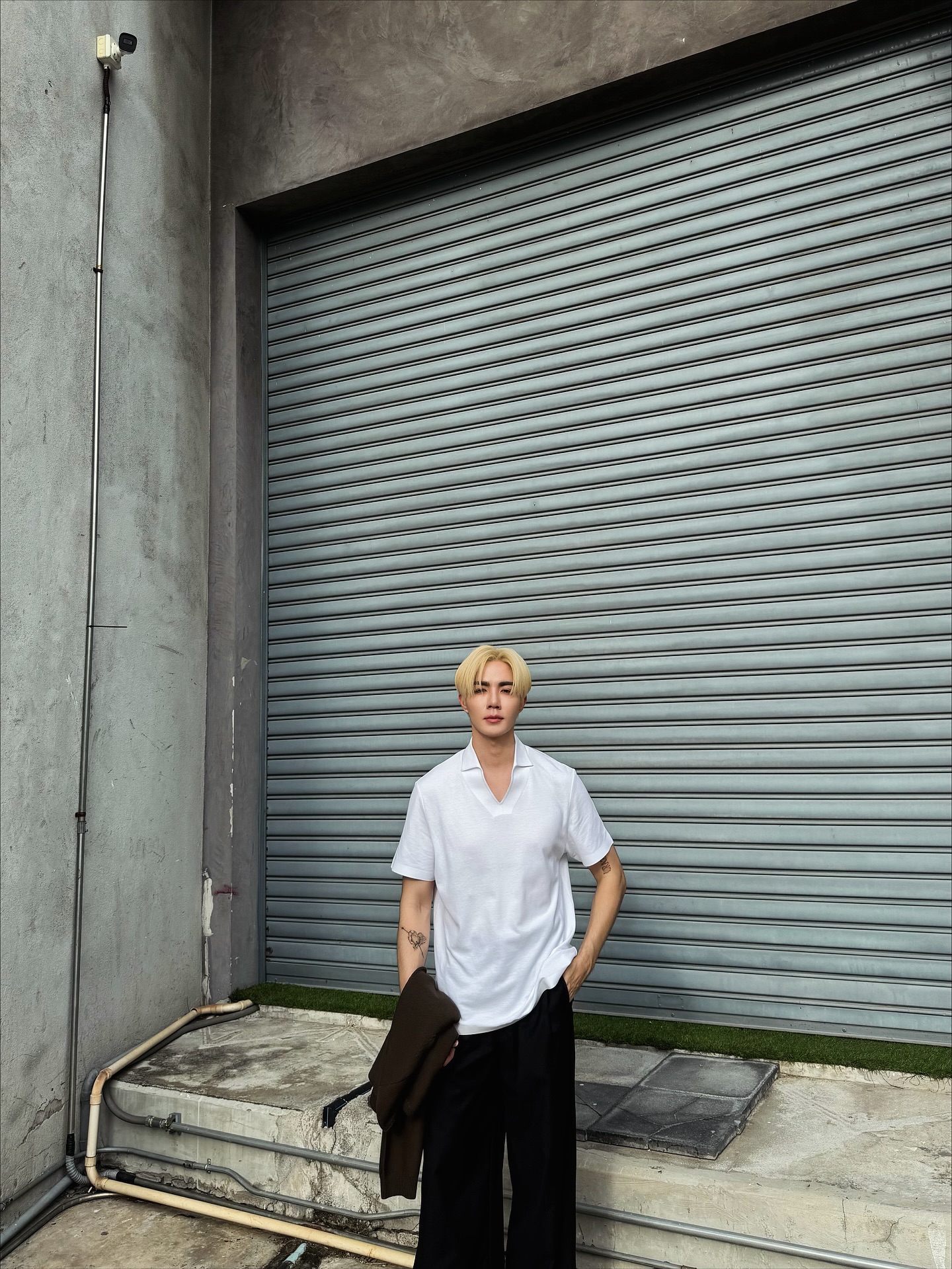 ซี - พฤกษ์ พานิช