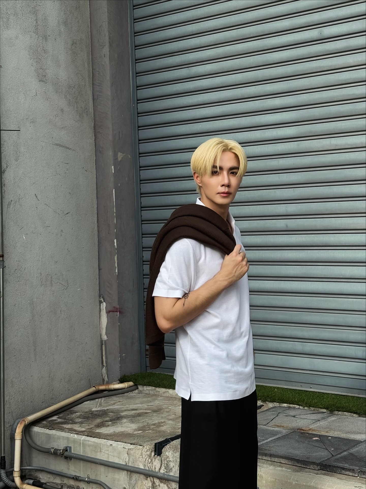 ซี - พฤกษ์ พานิช