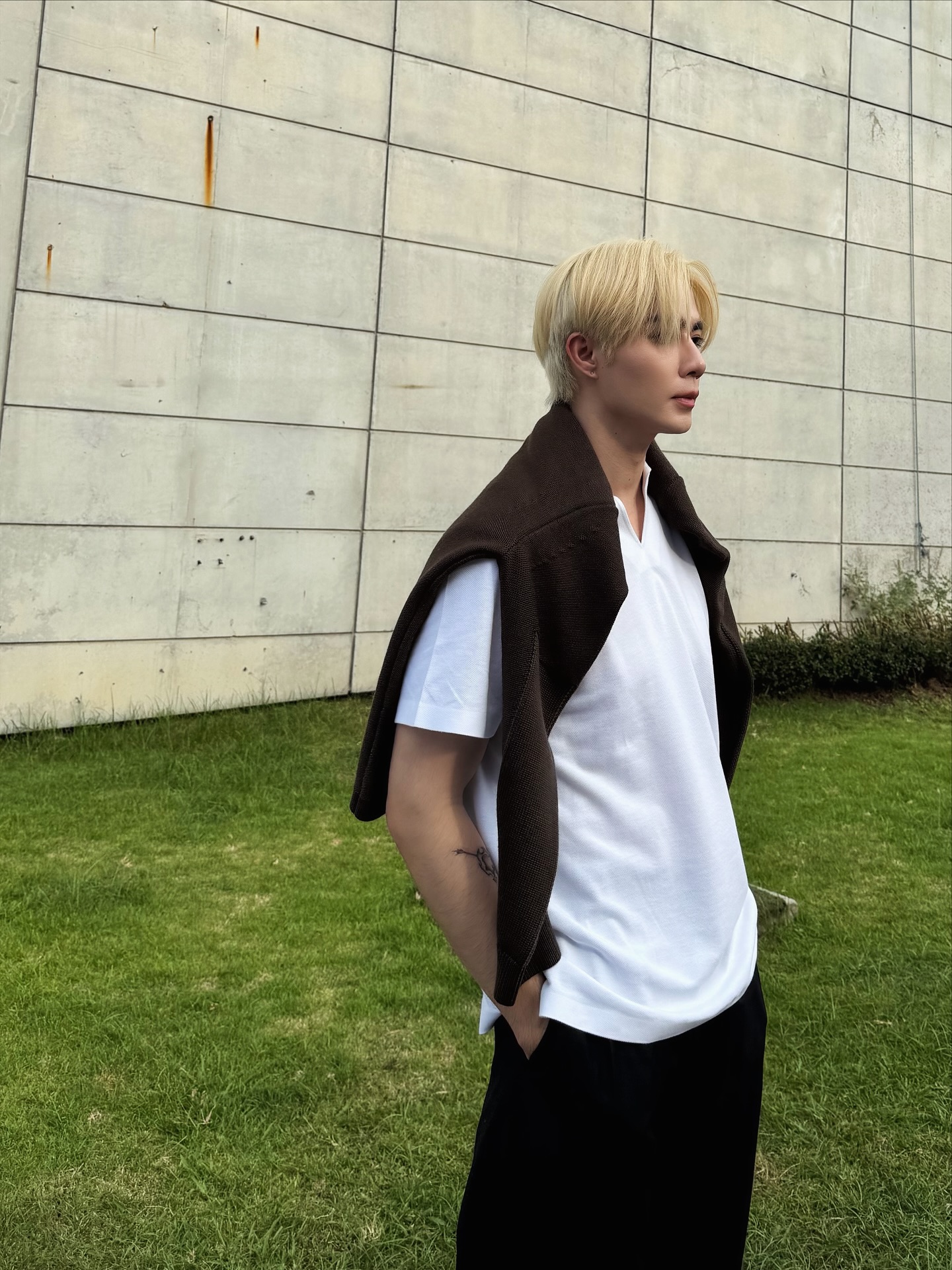 ซี - พฤกษ์ พานิช