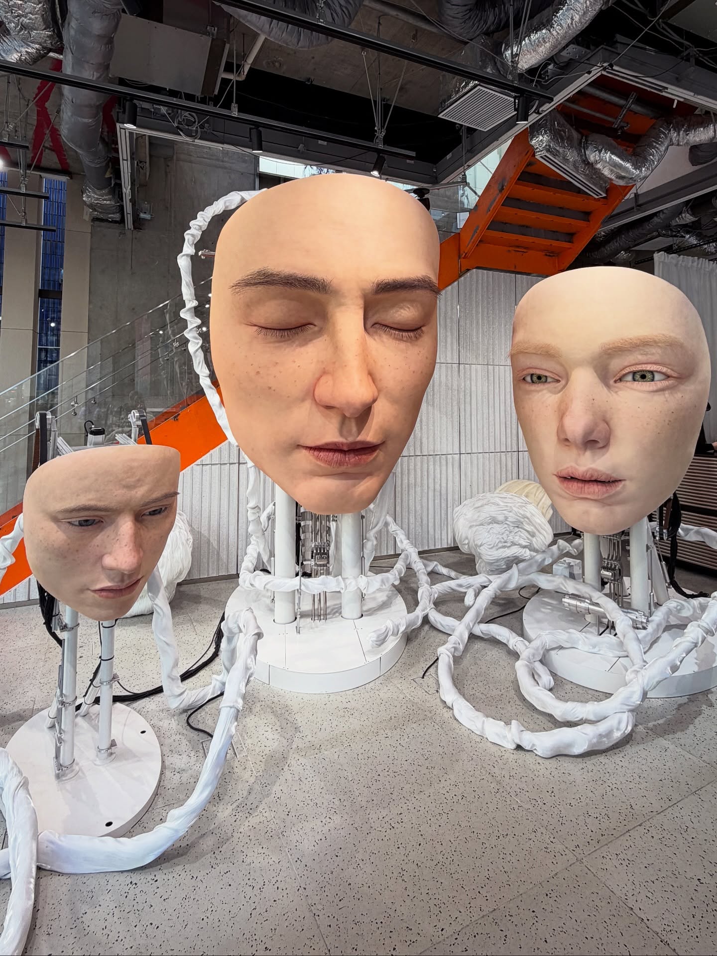 ซี - พฤกษ์ พานิช