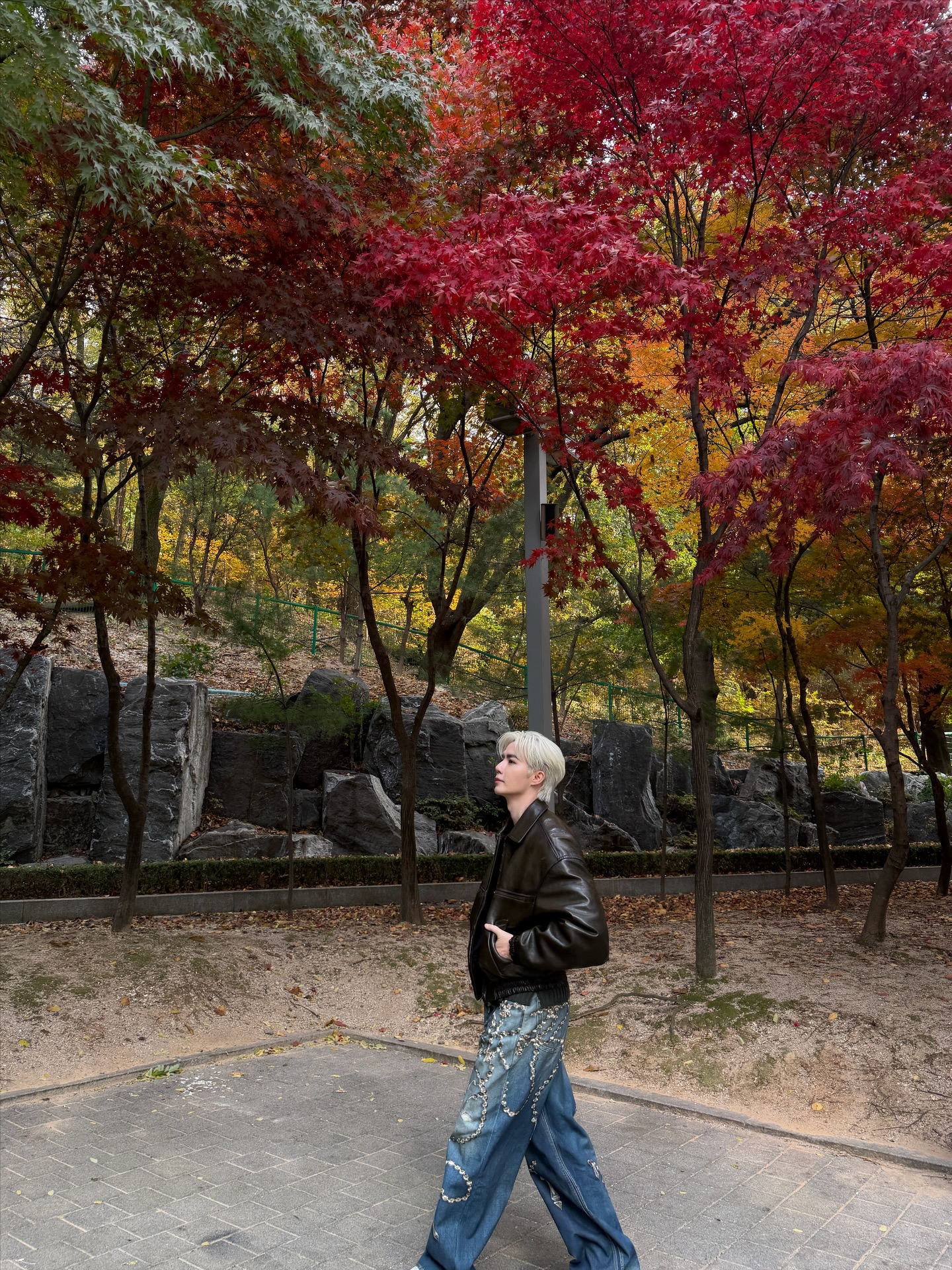 ซี - พฤกษ์ พานิช