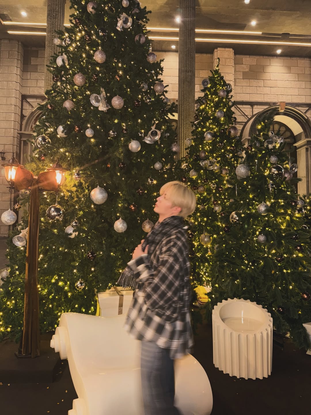 ซี - พฤกษ์ พานิช