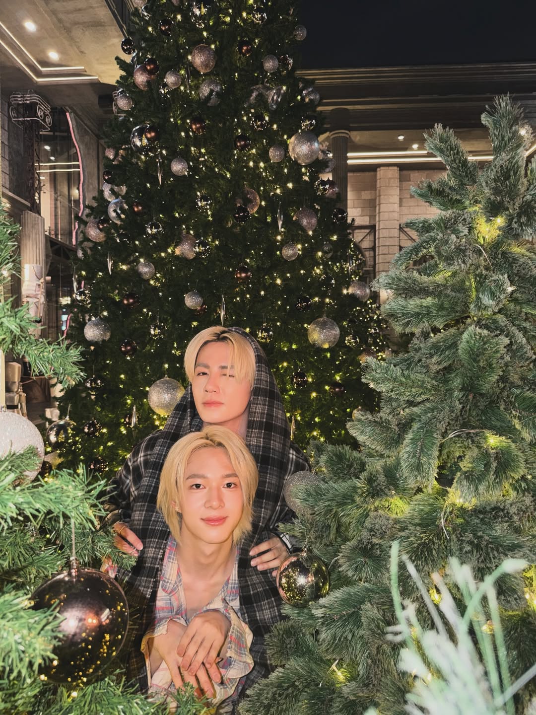 ซี - พฤกษ์ พานิช