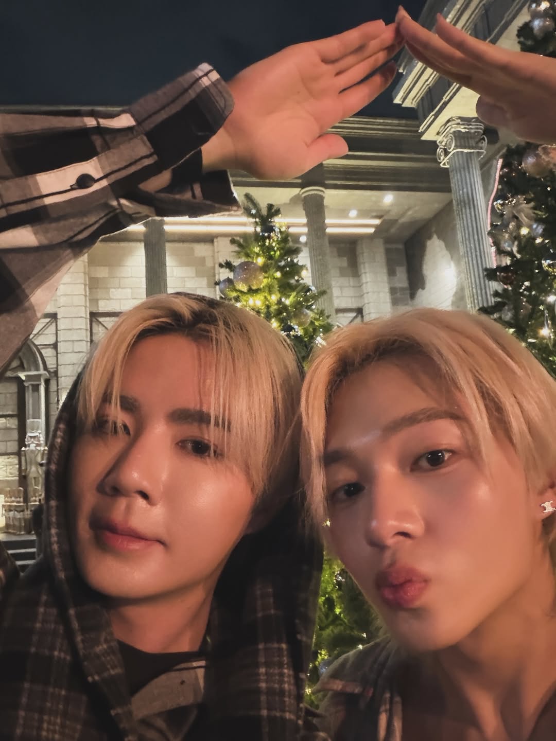 ซี - พฤกษ์ พานิช