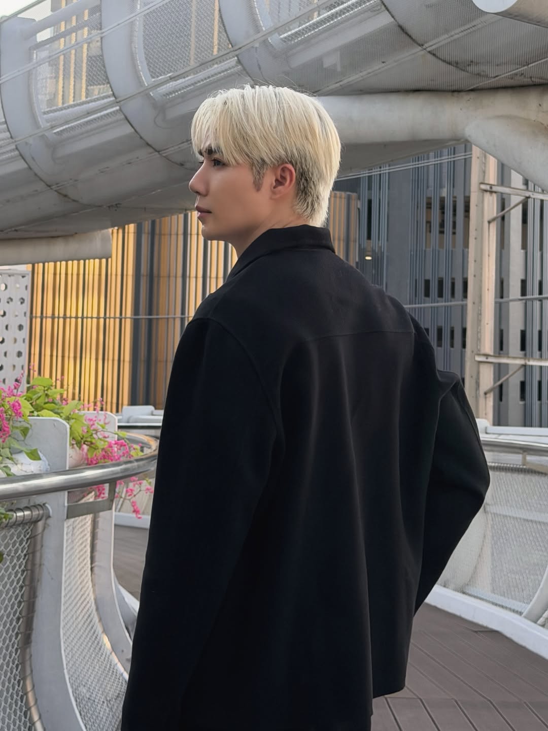 ซี - พฤกษ์ พานิช