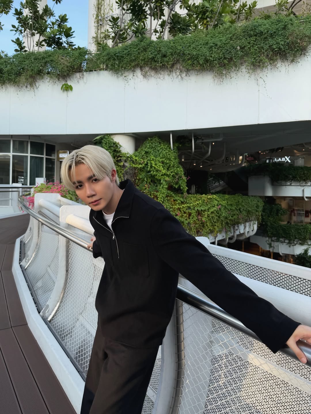 ซี - พฤกษ์ พานิช